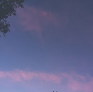 Meet your Posher, Andreas